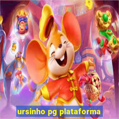 ursinho pg plataforma